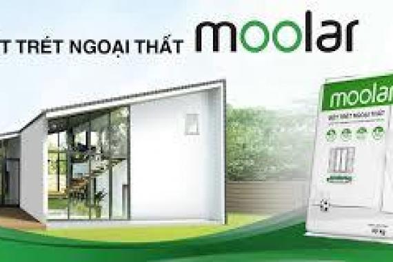 Bột trét nội ngoại thất Moolar